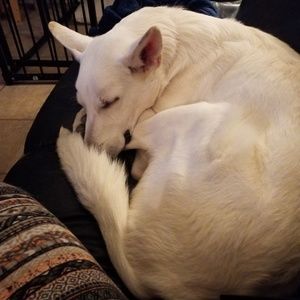 Meet your Posher, Nancy